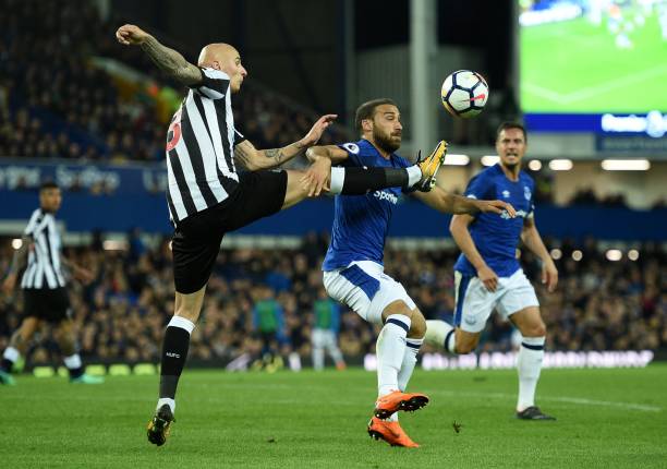 们心中的理 们心中的理