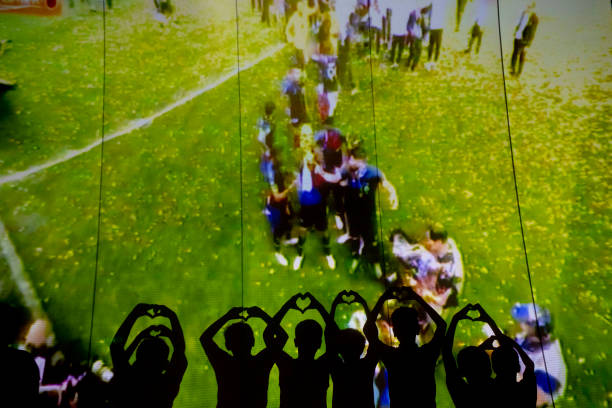 它能够帮助 它能够帮助